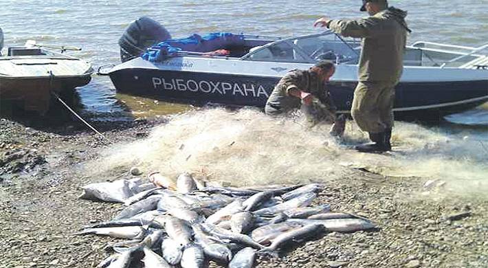 размер штрафа за незаконную рыбалку, браконьерство на водоеме Размер штрафа за незаконную рыбалку - что может быть за браконьерство на водоеме