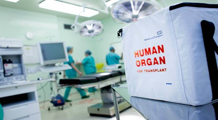 платная пересадка органов, донором, условия, основания Платная пересадка органов - кто может быть донором + условия и основания