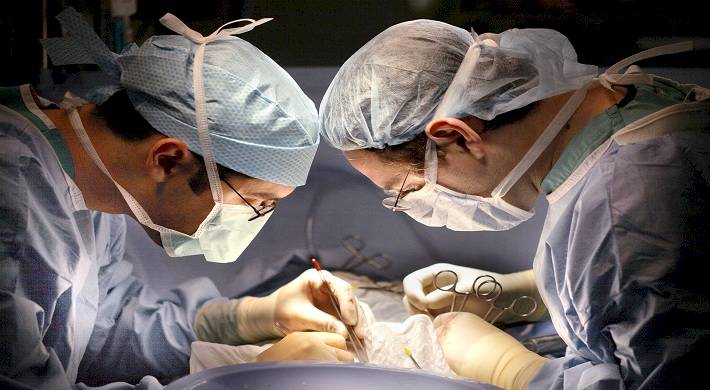 платная пересадка органов, донором, условия, основания Платная пересадка органов - кто может быть донором + условия и основания