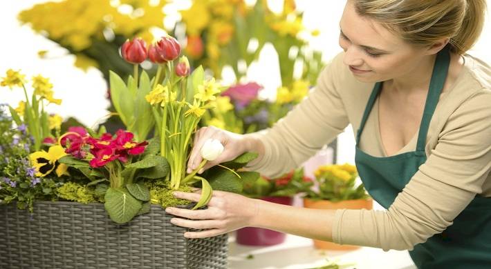 Сколько можно заработать на цветах - цветочный бизнес + выращивание, продажа, доход
