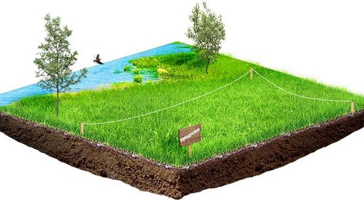 Арендовать землю которая в прибрежной зоне или с заливным лугом
