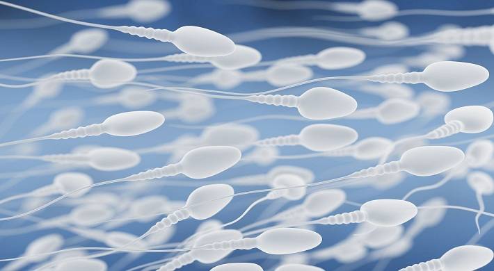 Стать донором спермы: сколько платят донору за сперму + выплата денег, доплаты