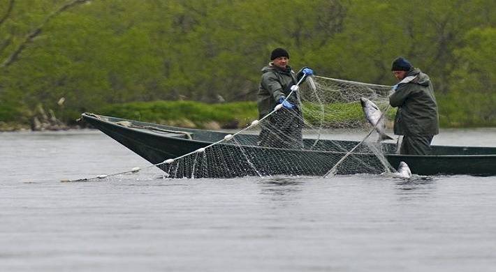 Ответственность за незаконную рыбалку + что бывает за браконьерство на рыбалке