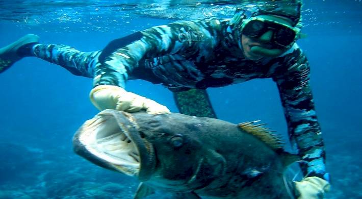Подводная охота это что такое: как правильно стать начинающим охотником под водой + затраты на экипировку